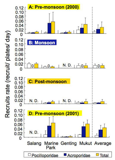 マレーシア・ティオマン島のサンゴ礁では、<br />ミドリイシ科サンゴの人工基盤への新規加入はモンスーン前のみに観察された<br />一方、ハナヤサイサンゴ類の新規加入は通年観察された<br />(Maekawaet al. unpublished data)