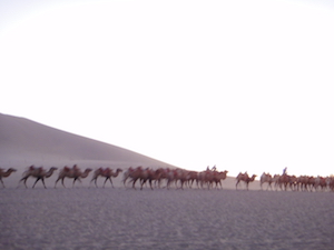 Silk Road