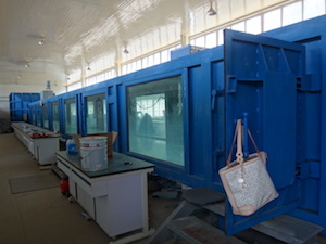 Wind Tunnel
